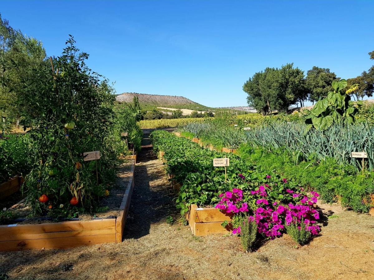 Готель Abadia Retuerta Ledomaine Sardon De Duero Екстер'єр фото