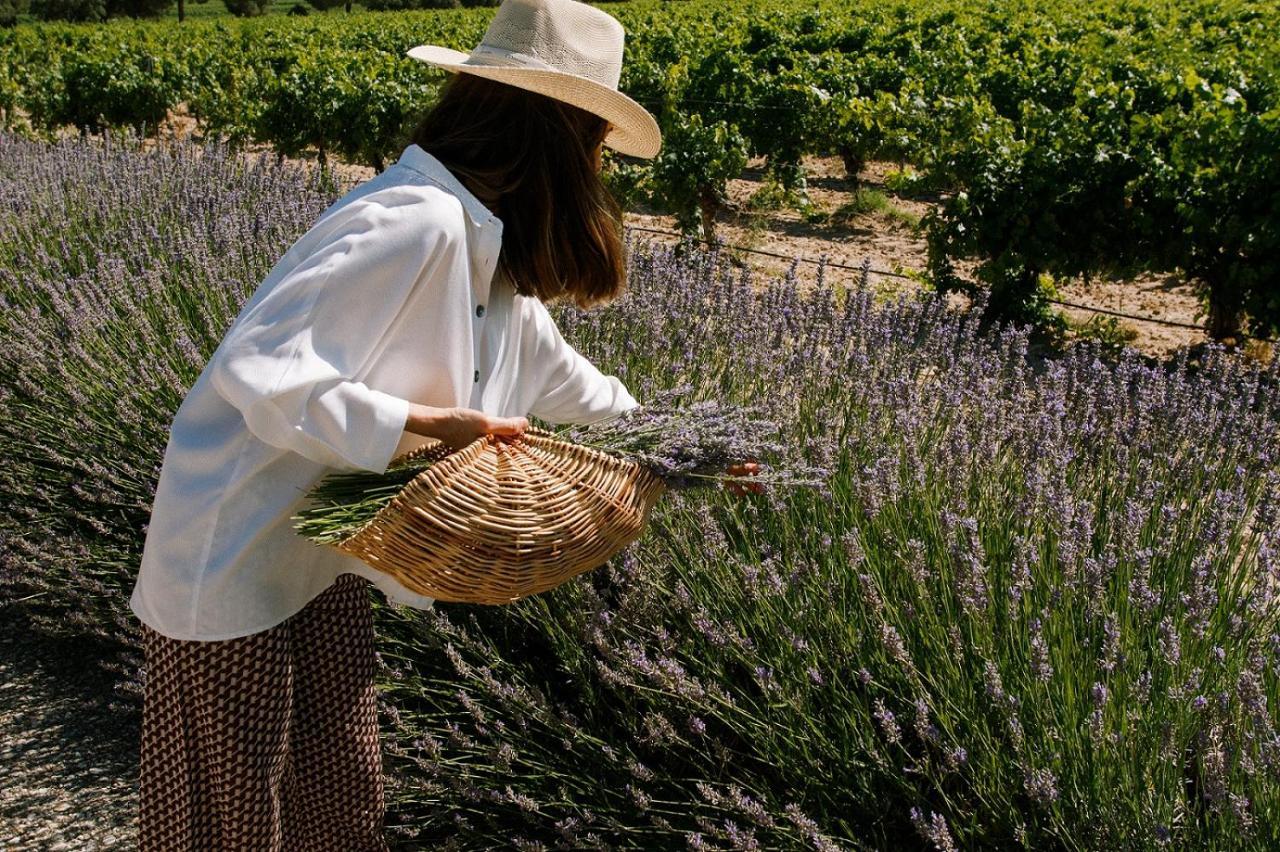 Готель Abadia Retuerta Ledomaine Sardon De Duero Екстер'єр фото